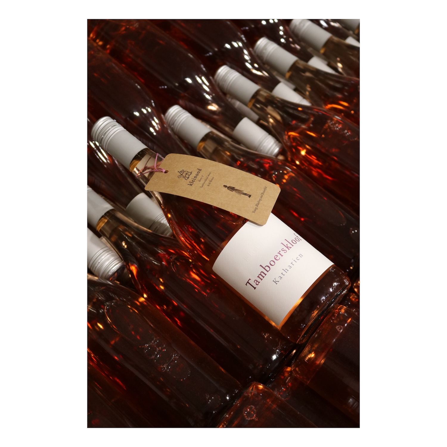 Kleinood Tamboerskloof Katharien Syrah Rose 2025