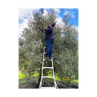 de boerin extra virgin olive oil kleinood farm