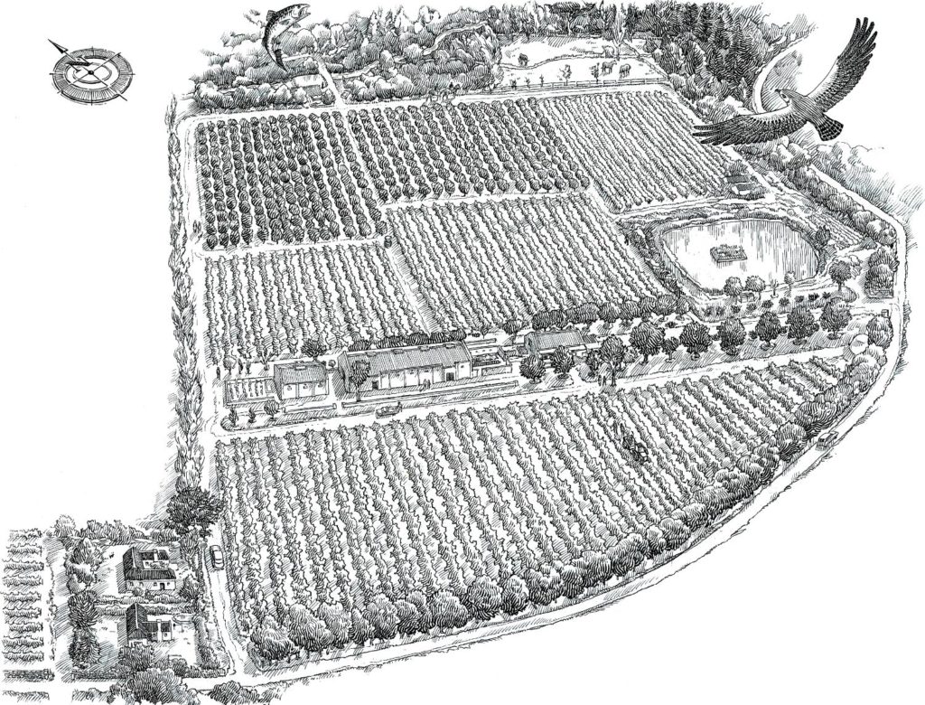 The Story - Kleinood Farm