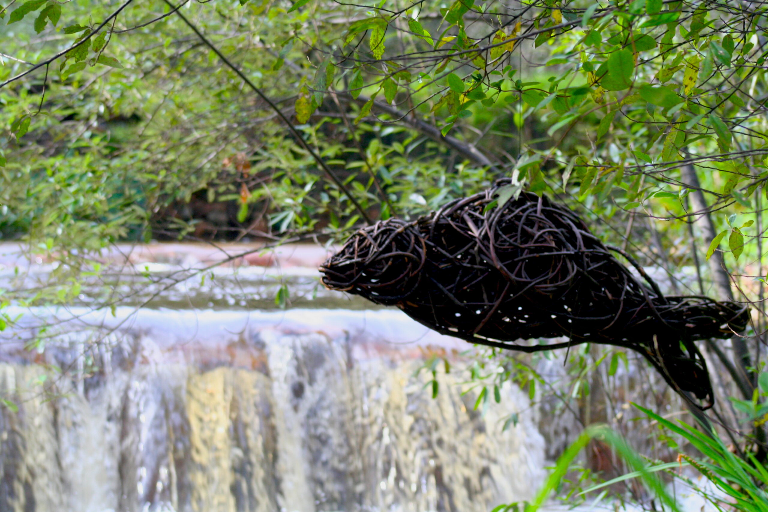 The Kleinood Forest