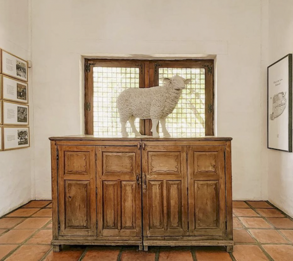 The Farm - Kleinood Wine Estate
