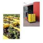 Kleinood de Boerin Syrah Verjus