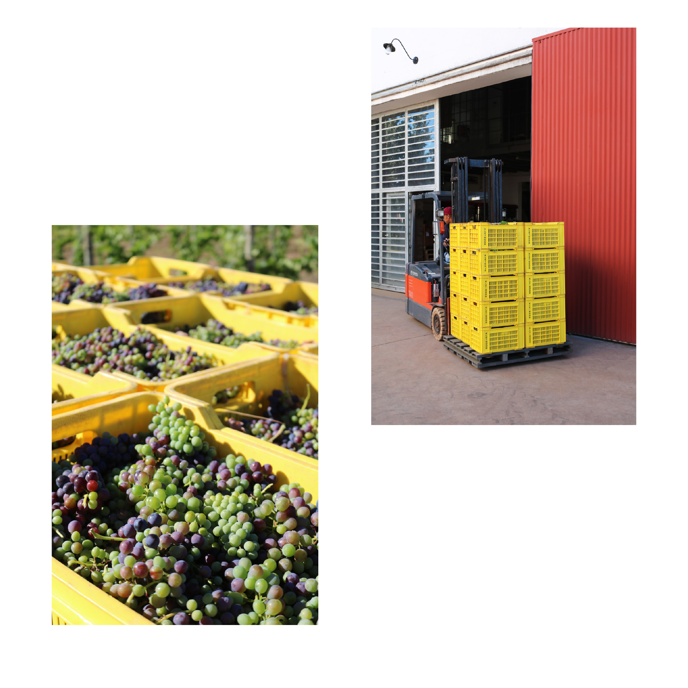 Kleinood de Boerin Syrah Verjus