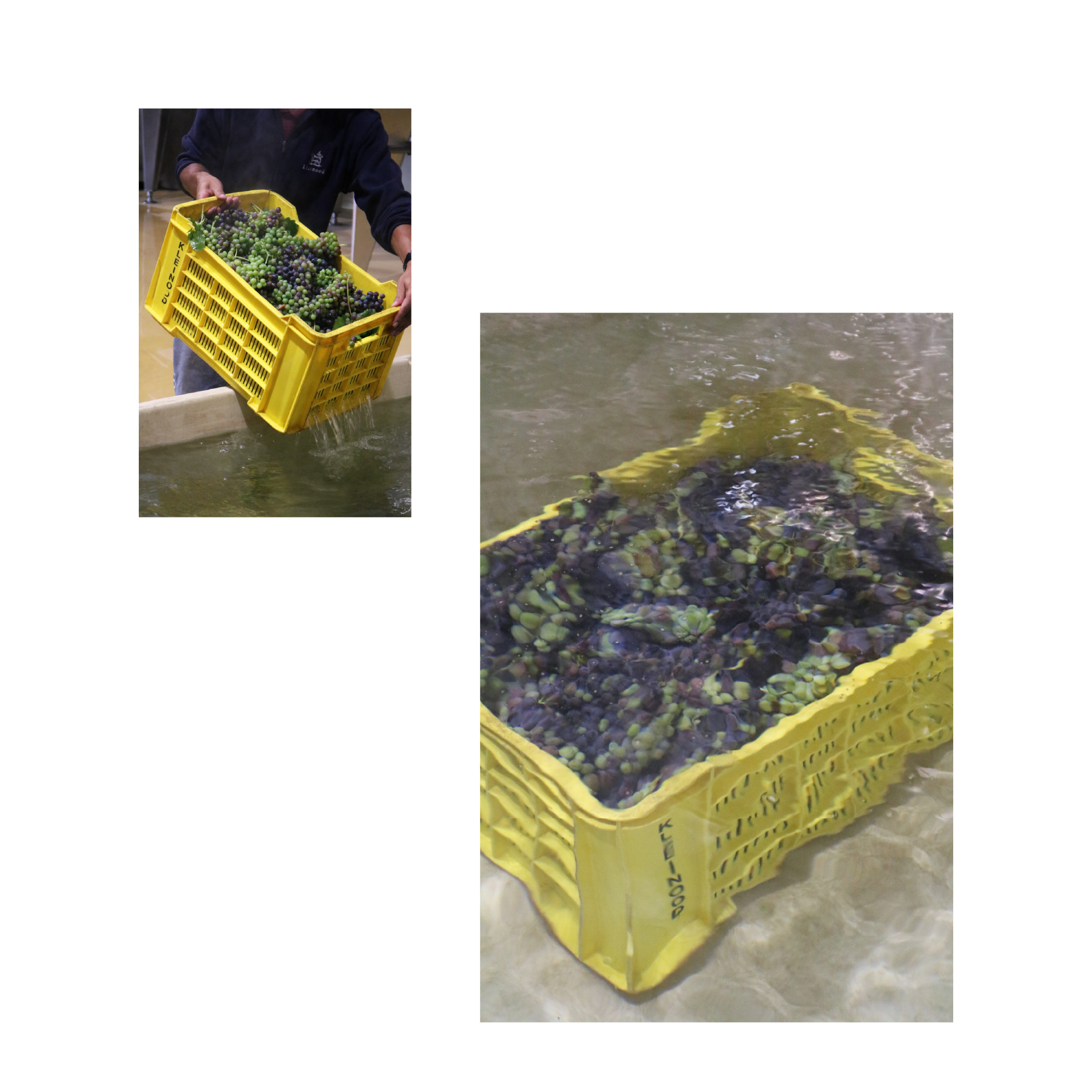 Kleinood de Boerin Syrah Verjus