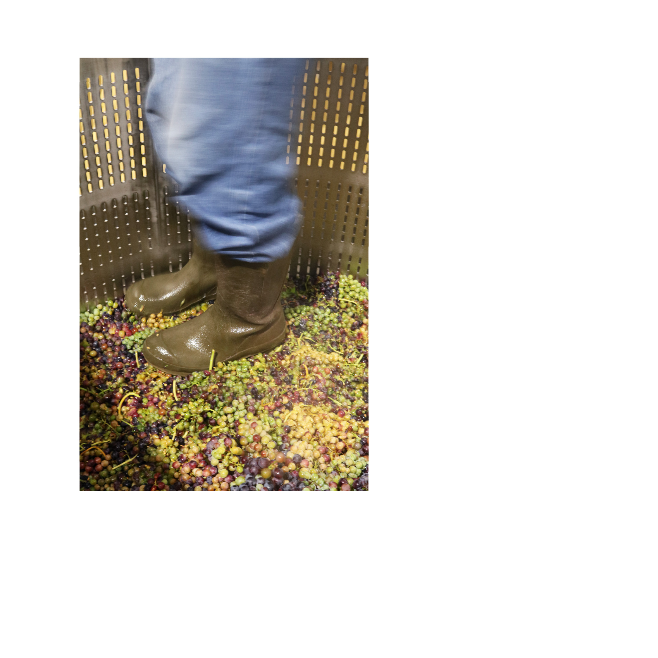 Kleinood de Boerin Syrah Verjus