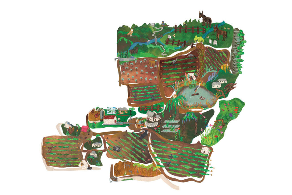 the kleinood way farm experience