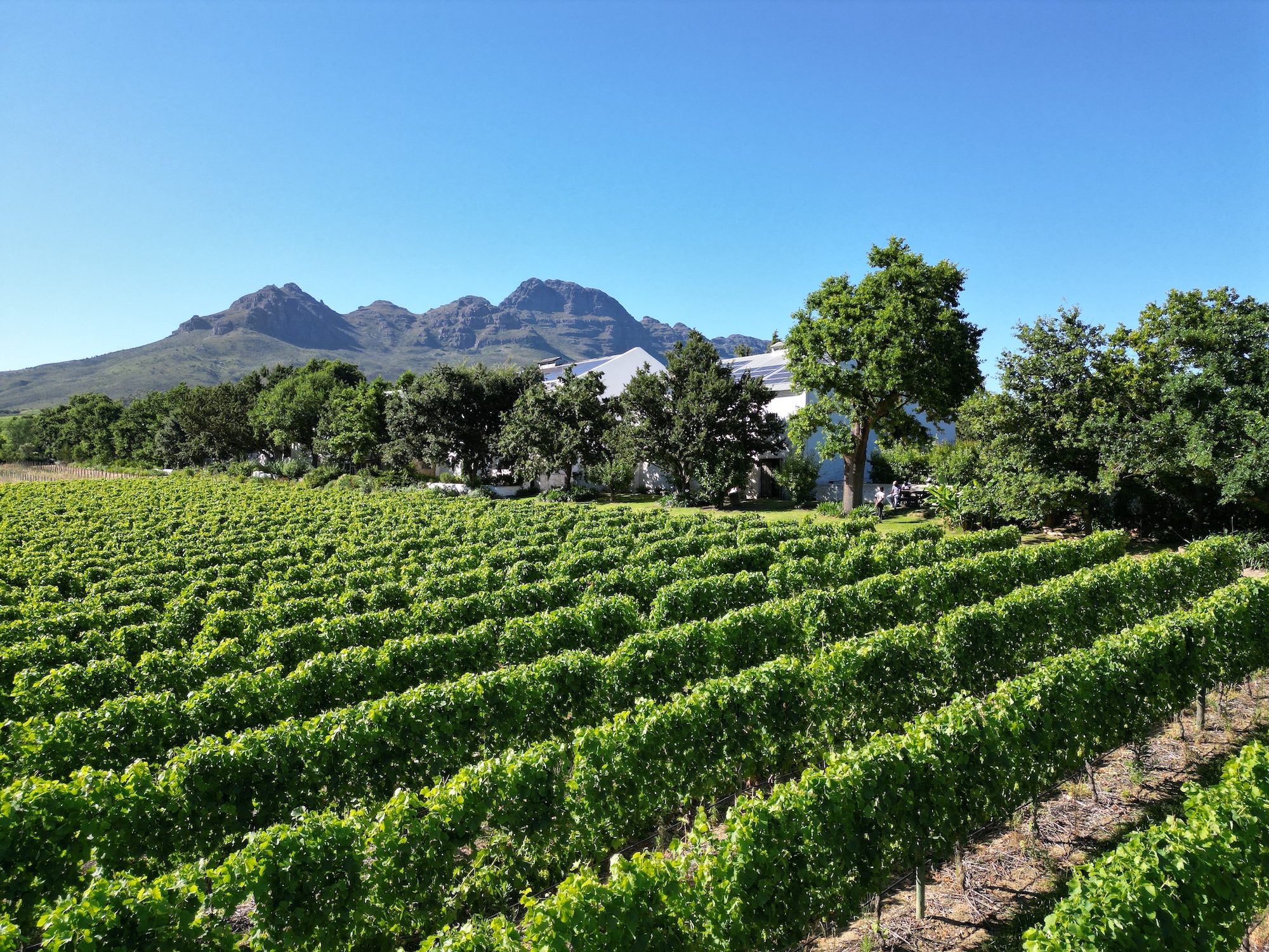 Kleinood Farm