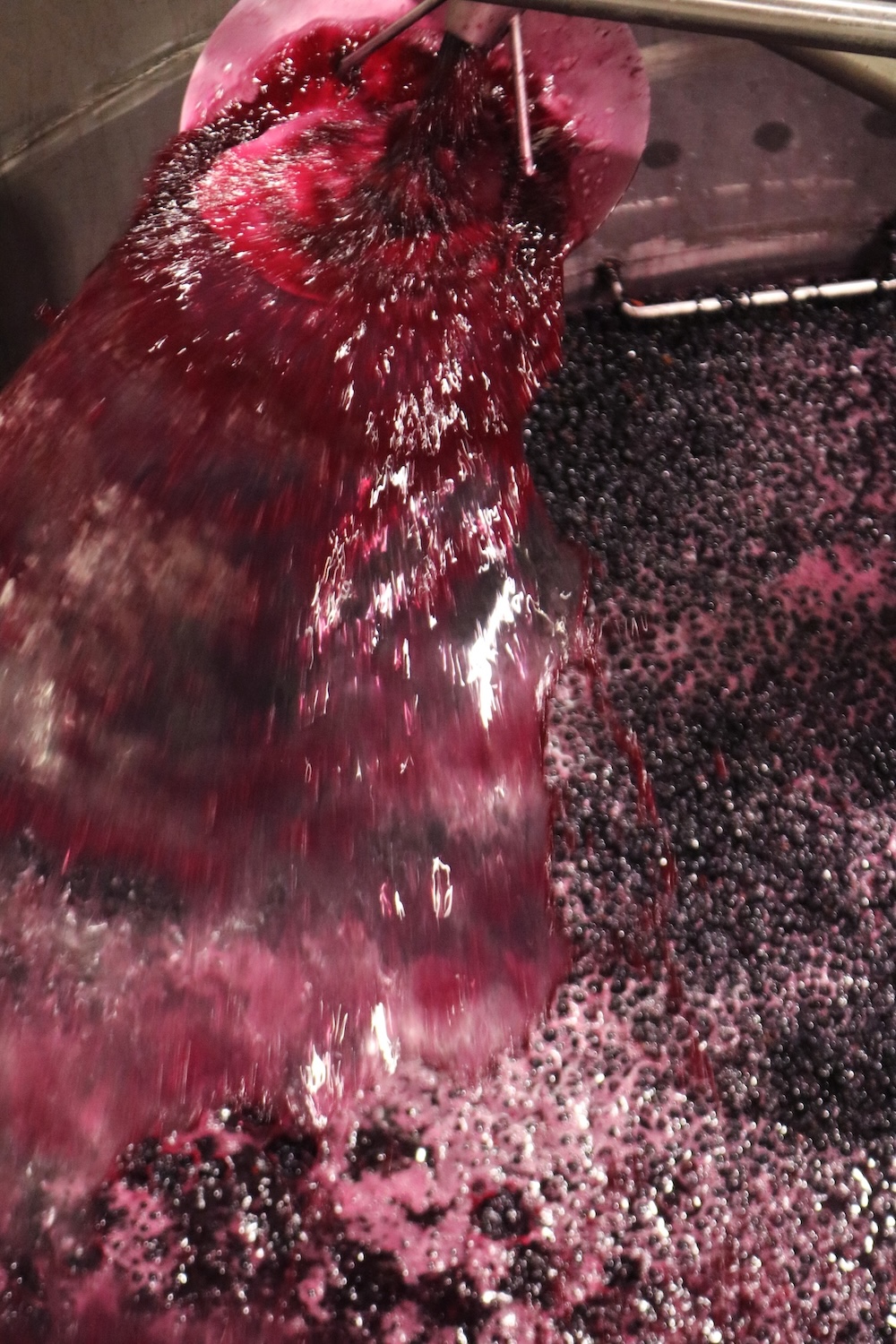Kleinood Farm Tamboerskloof Wines Harvest 2026 19