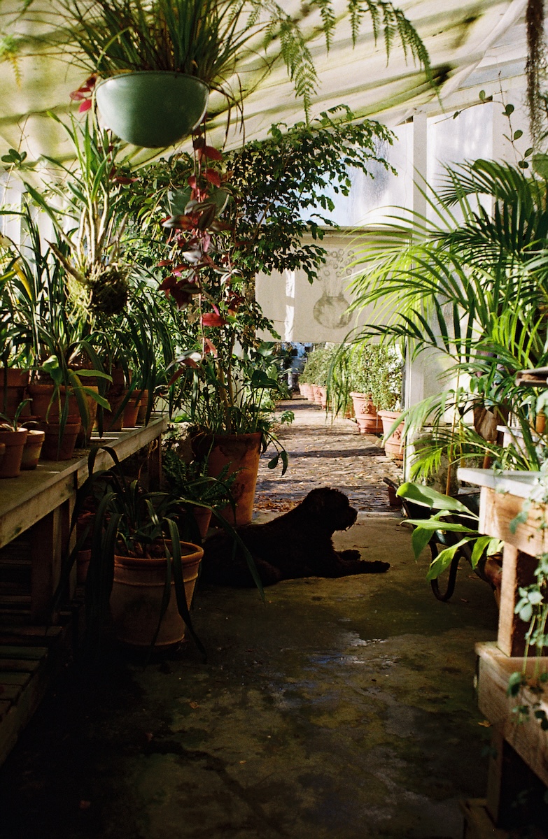 Kleinood Farm Glasshouse