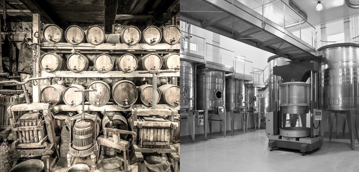 The Diasporic Nature Of Wine