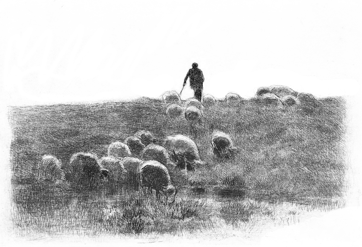 kleinood de herder full artwork